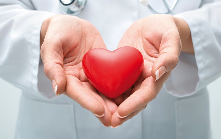 egészség 4 élet szív